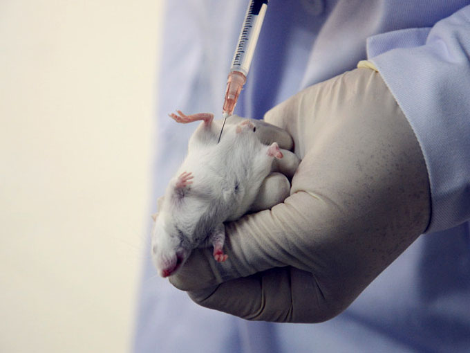 生物相容性試驗 生物相容性試驗