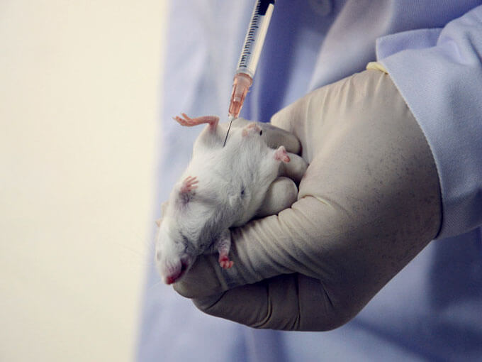 缺乏生物相容性試驗(yàn)的涂層技術(shù)導(dǎo)致年使用量不足 缺乏生物相容性試驗(yàn)的涂層技術(shù)導(dǎo)致年使用量不足